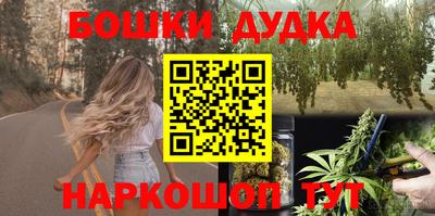 гидра Дубна