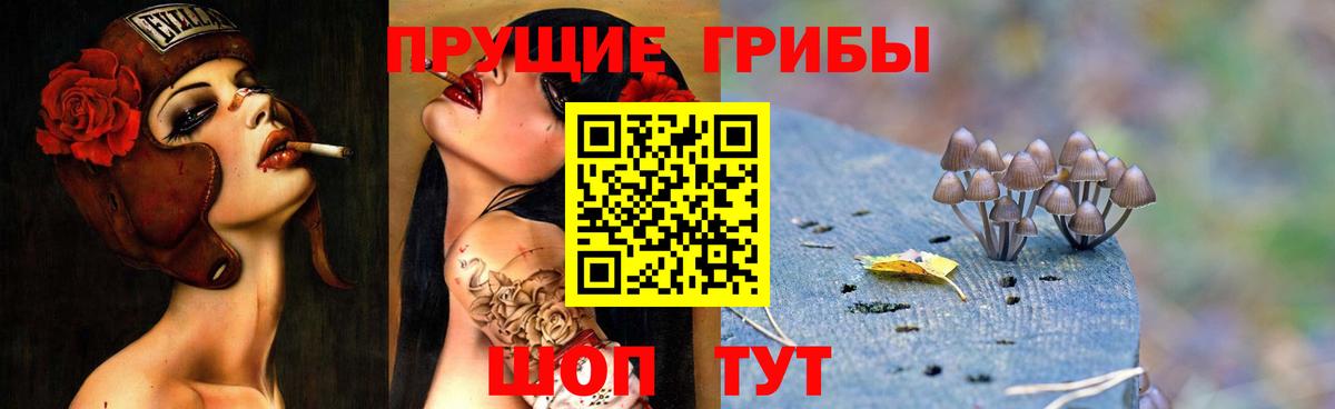 Псилоцибиновые грибы GOLDEN TEACHER  Галлюциногенные грибы Psilocybine cubensis  Мичуринск  Вход с VPN 